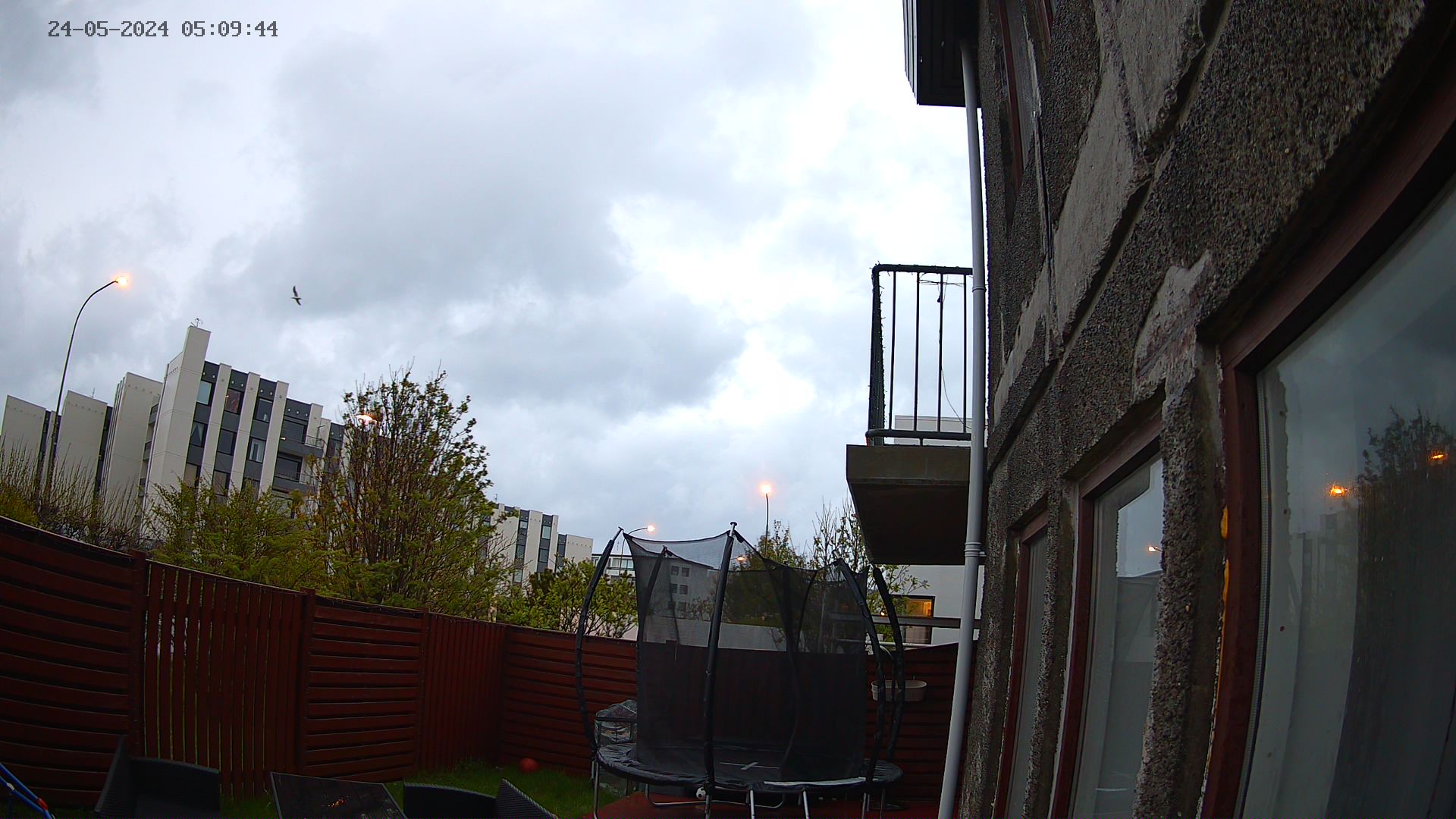 Aurora.Camera - view from Reykjavík